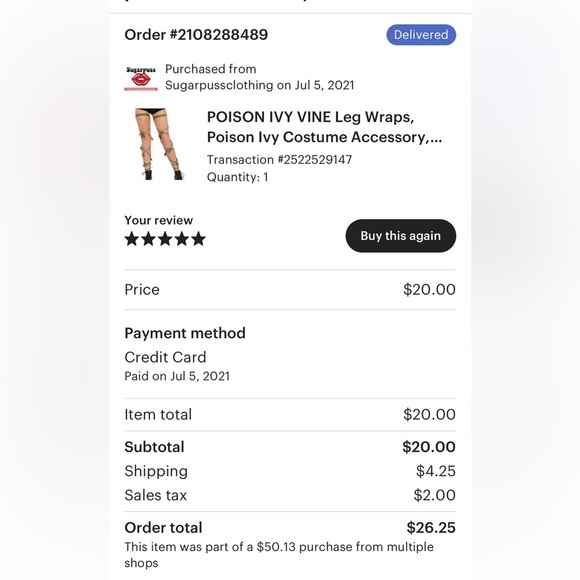 SEXY Fairy Costume 32 D Lingerie Custom Hand Made - Picture 11 of 12